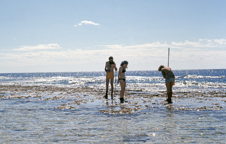 1975 Reef and Corals17