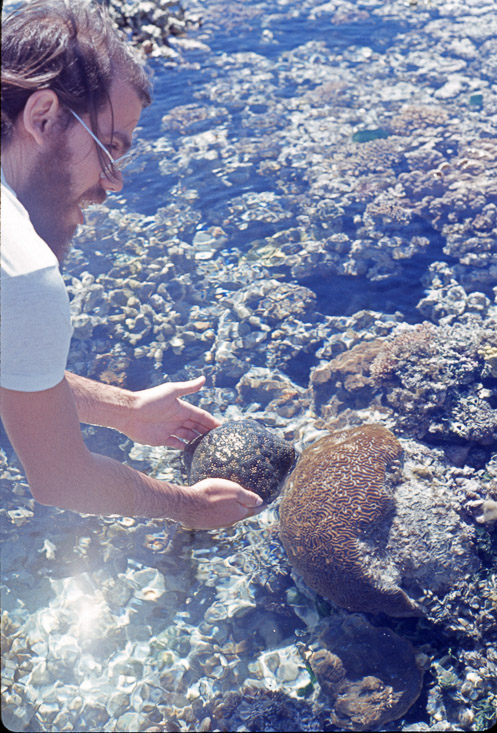 1975 Reef and Corals19