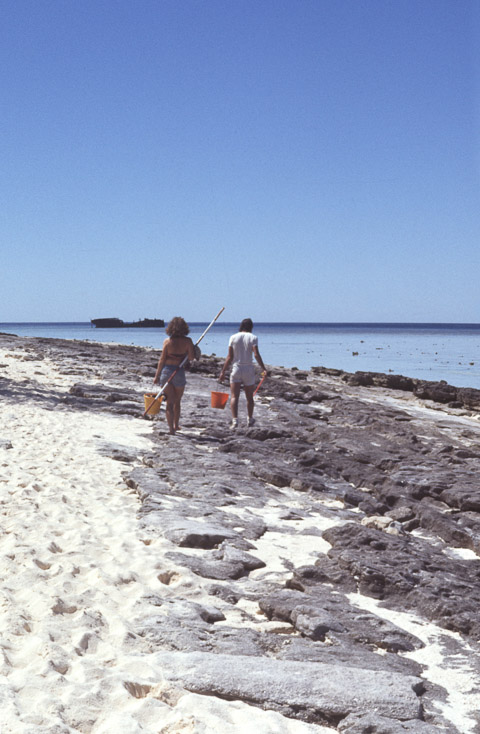 1976 Heron Island30