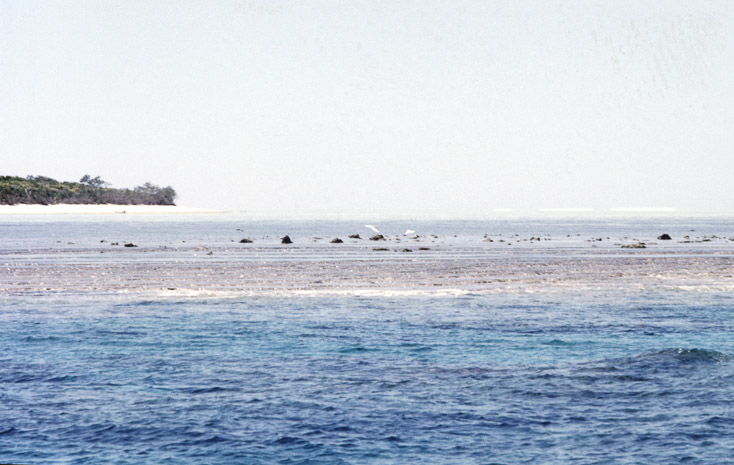 1976 Heron Island34
