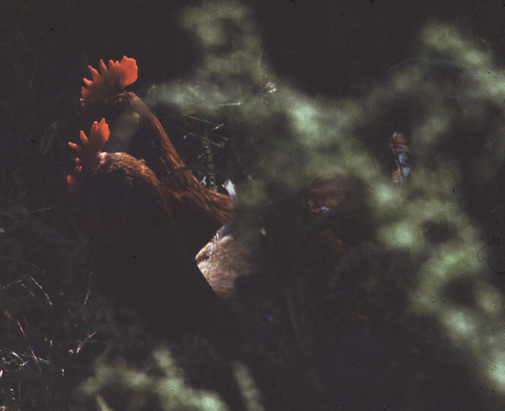 1979 RR1 Box 202 - 09