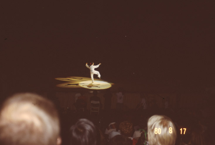 1980 BilliMarshalArts33