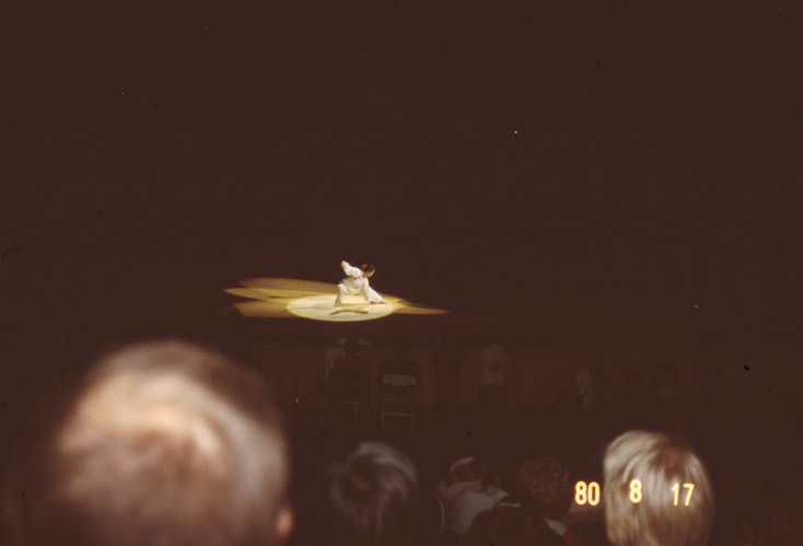 1980 BilliMarshalArts34