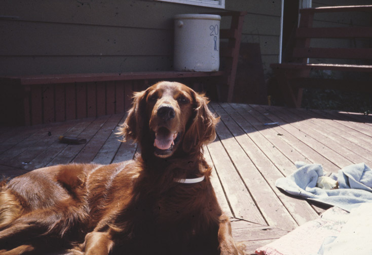 1980 Sabrina May and Billi August14