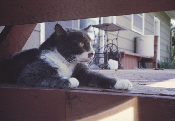 1980 Sabrina May and Billi August15