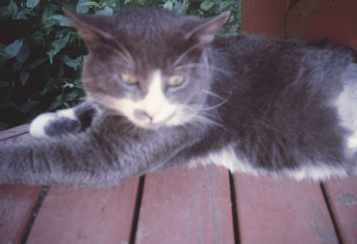 1980 Sabrina May and Billi August16